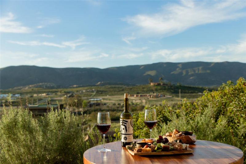 Banyan Tree Veya Valle de Guadalupe